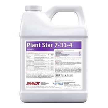 Brandt PLANTSTAR 7-31-4 - AYA TARIM Erenler Sakarya Zirai İlaç Gübre Tohum