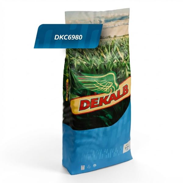 Dekalb "DKC6980" - AYA TARIM Erenler Sakarya Zirai İlaç Gübre Tohum