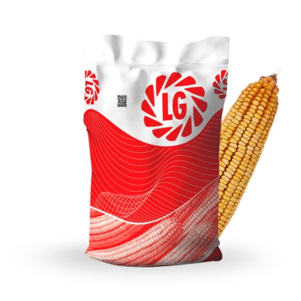 Limagrain "LG 31.642" - AYA TARIM Erenler Sakarya Zirai İlaç Gübre Tohum